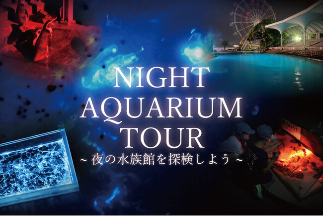 【南知多ビーチランド】夜の水族館を飼育員のガイド付きで巡るプレミアムツアー！「ナイトアクアリウムツアー」開催！＜愛知＞