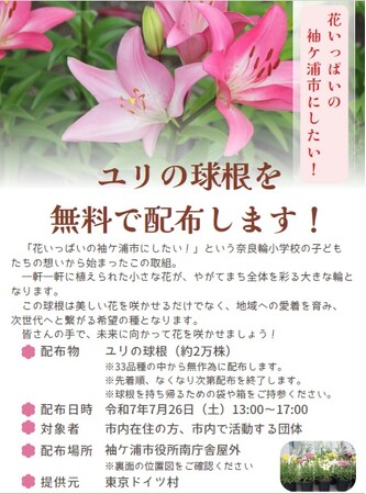 【千葉/袖ケ浦】リリー・フェスティバルを開催します