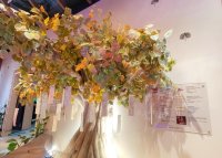 【大谷大学】大阪・関西万博インド館 連携記念特別企画/インド館展示に係る生涯学習講座を開講(共催:在大阪・神戸インド総領事館 Indira Gandhi National Centre for the Arts)