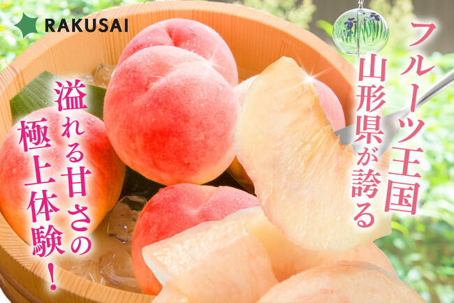 山形県産「溢れる甘さ!あかつき桃」を販売開始!とろける甘さ、滴る果汁の贅沢を再び