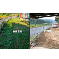 草がすぐ生い茂る夏に！“再生しづらい草取り”で除草　広島発のサービス「草刈り侍」を提供開始