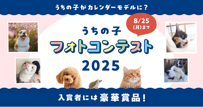 アイペット「うちの子フォトコンテスト2025」投稿キャンペーン開始