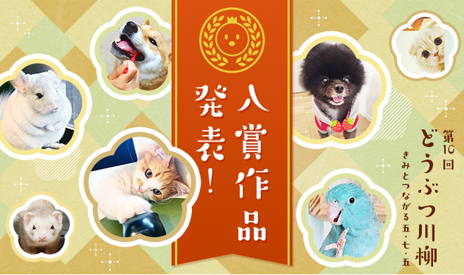 第十回「どうぶつ川柳」入賞作品発表！愛情と個性あふれる作品をご紹介