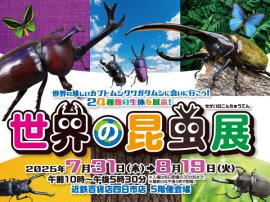 世界の昆虫展 世界の昆虫展