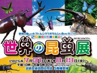 【近鉄百貨店 四日市店】昆虫たちと間近で観察しよう！世界の昆虫展