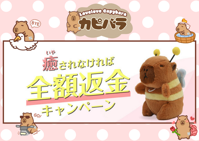 大人気カピバラのぬいぐるみ「チャビマル」が『癒されなければ全額返金キャンペーン』を期間限定で実施中！！癒し不足のあなたへ