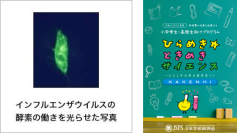 体の中で活躍する目に見えない「酵素」を見よう！　小学５・６年生、中学１年生対象のサイエンス講座を開講 -- 広島国際大学