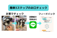横浜市・テック系スタートアップ実証実験等支援助成に採択！Ani-lience(R)お口の健康チェックキットの実用化を加速