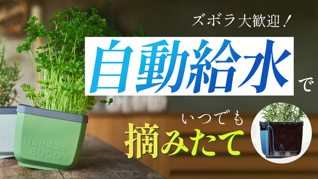 【クラウドファンディング開始】家庭菜園をもっと簡単に楽しく！自動潅水システム搭載のプランター「HERBS BUDDY」日本初上陸プロジェクト！