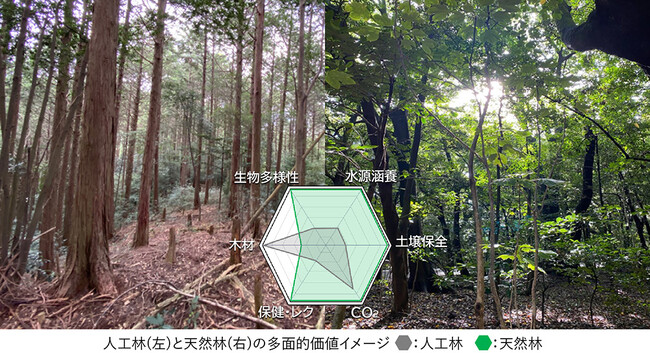 みずほリース(株)と(株)グリーンエルムに(株)タケエイ保有林を実証の場として提供