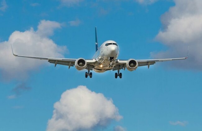 みんな乗ってる?飛行機利用について大調査!【1000人アンケート】