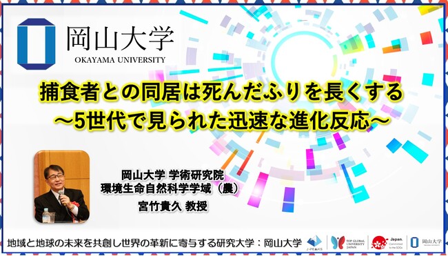 【岡山大学】捕食者との同居は死んだふりを長くする～5世代で見られた迅速な進化反応～