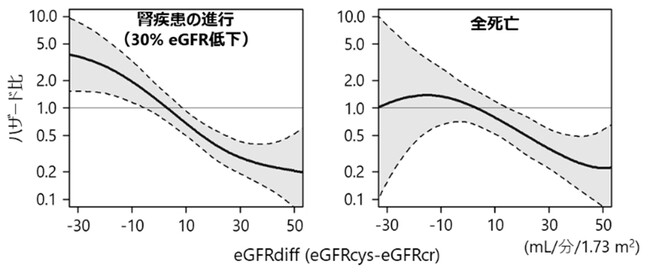 糖尿病と診断された方の腎臓病悪化を早期予測!
