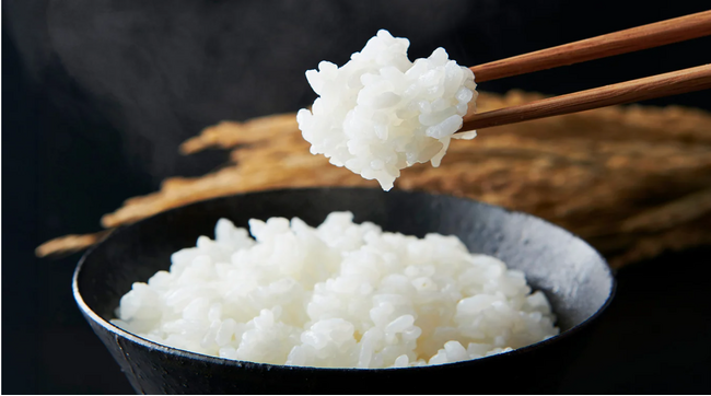 全国各地の「新米」を先行予約でお届け!ふるさとチョイス、「新米特集ページ」を本日公開