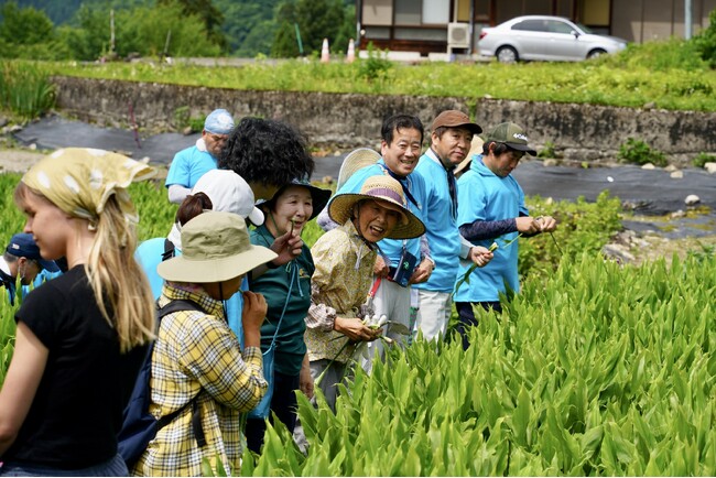 【岐阜県飛騨市】日本の原風景を守ろう！飛騨市宮川町種蔵で全国からの助っ人と集落特産品「ミョウガ」の収穫を行います