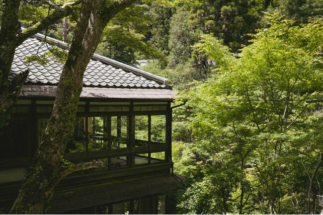 国定公園の中に佇む、静けさの宿──「こもれびの宿 明徳庵」開業