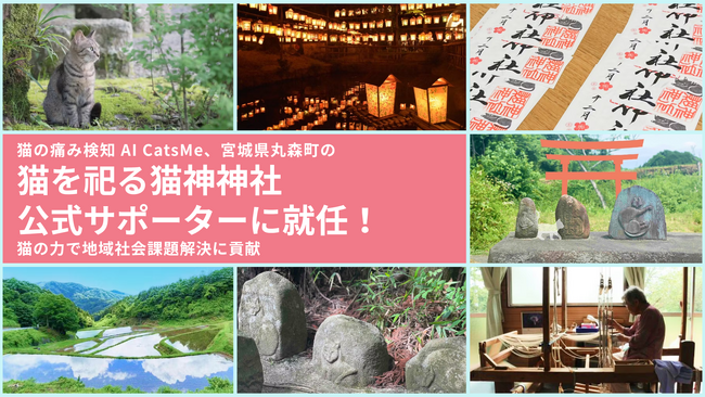 猫の痛みを 96% 以上の精度で検知する AI 「CatsMe」、「猫神神社実行委員会」公式サポーターに就任！猫を祀る神社の建立をサポートし、宮城県丸森町の地方創生に貢献！