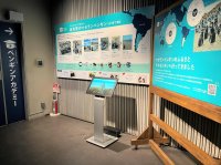 【すみだ水族館】ペンギンたちの換羽のようすがわかる
パネル展示「ペンギンの『換羽』って何ですか?」を公開