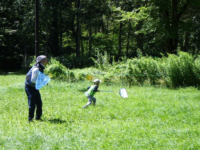 滝野の森で本気の虫さがし！「滝野の森 昆虫『野外』博物館」開催中！！（国営滝野すずらん丘陵公園）
