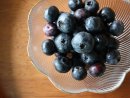 ブルーベリー　2
