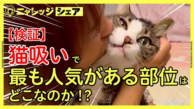 【全国の猫好き必見！】猫吸い人気ランキング　気になる1位は「頭」！？【検証】猫吸いで最も人気がある部位はどこなのか！？7月30日（水）から公開！