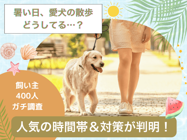 【飼い主400人に調査】暑い日の愛犬の散歩をどう乗り切る?人気の時間帯は意外にも“あの時間”!