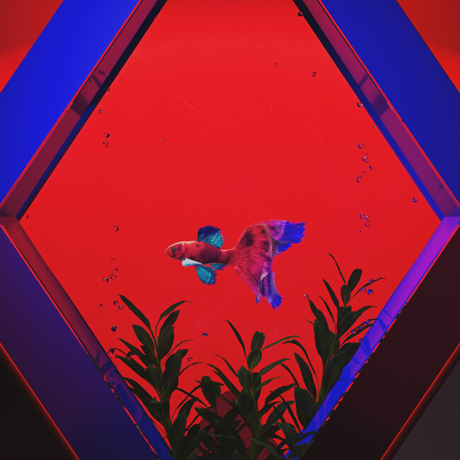 TVアニメ『神椿市建設中。』谷置狸眼役を務める理芽による 第三話 ED楽曲「閃光だった」本日リリース！