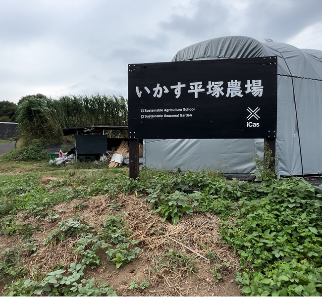 命が育つ“学びの畑”が、湘南に出現。ただの芋ほりじゃない。子どもたちの「なぜ？」を耕す、農業×教育の体験教室。