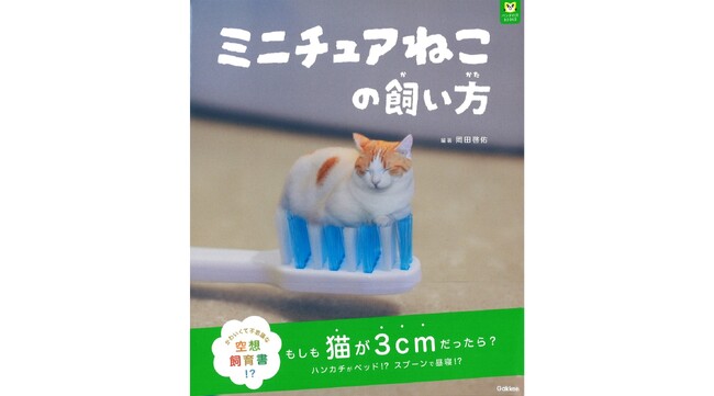 【ガチャでも人気のちっちゃな猫！】「パンダの穴BOOKS」第1作目、『ミニチュアねこの飼い方』発売!!