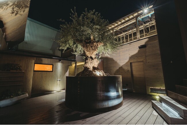 ペア利用や貸切にも対応、岡山のサウナ施設「sauna kolme kyla」8月より岡山県初のウィスキングサービスを導入し体験メニューをさらに拡充