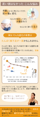 商品概要2