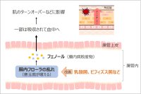 腸活をしている人の方が、肌の満足度が高い！？
腸内フローラと肌の深い関係とは？