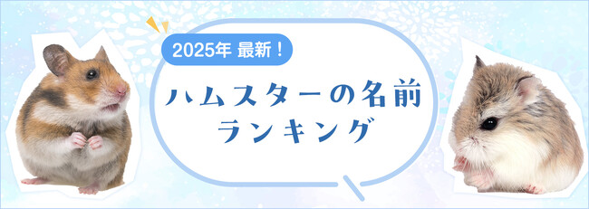 【2025年最新】ハムスターの名前ランキングを発表！
