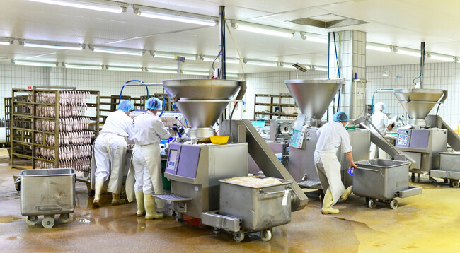 食品工場向け入構者教育・安全研修に革新──AI特許技術による顔認証eラーニングシステム『ONLINE FACE(R)』導入で安全教育を厳格にDX・オンライン化！