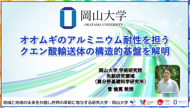 【岡山大学】オオムギのアルミニウム耐性を担うクエン酸輸送体の構造的基盤を解明