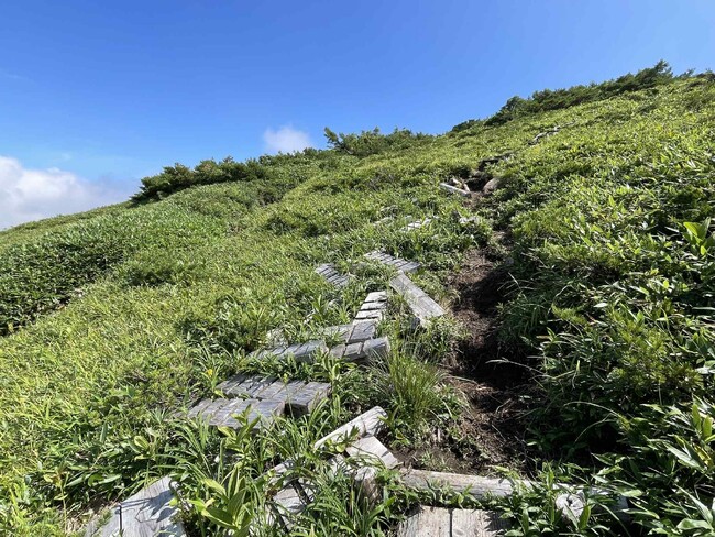 【岐阜県飛騨市】北アルプスの名峰北ノ俣岳、登山道が“危険信号”！安全な登山道を未来に残すために「登山道整備」を行います
