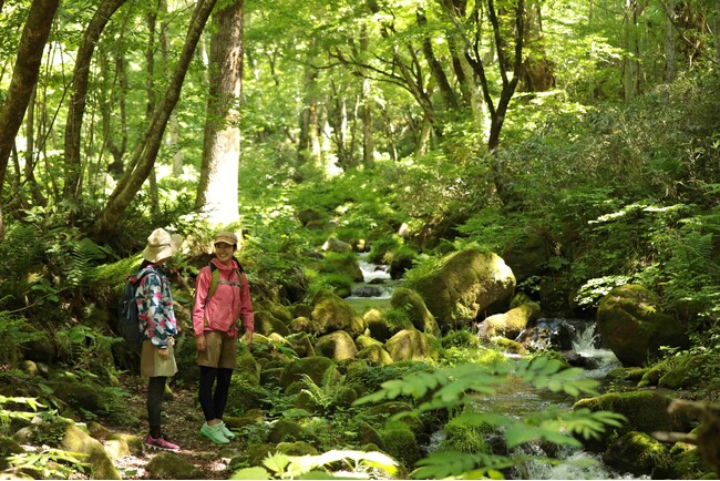 休暇村奥大山では、標高920mの高原で“足水”など涼やかな名水体験を満喫　ご夕食には名水が引き出す鳥取の夏の味　「夏休み限定だいせんサマービュッフェ」プランを7月25日から販売開始