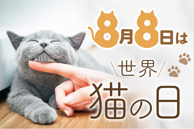 【8月8日限定!先着200名】“世界猫の日”を記念して猫用品全品15％OFFキャンペーンを開催いたします。人気のフードボウルや爪とぎ、お出かけグッズなどの買い替えやご褒美選びに、ご活用ください。