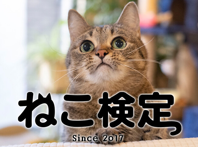 のべ3万人以上が「猫の気持ちをより理解できるようになった」ねこ検定、2026年3月に全国一斉開催！