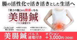 パルス付き美腸鍼 パルス付き美腸鍼