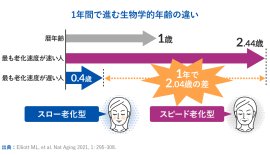 イラスト2 イラスト2