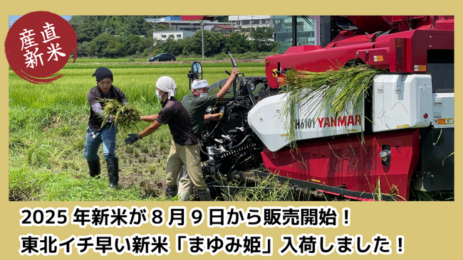【新米入荷しました】「今年は予想以上に美味しい！」と太鼓判！東北で一番早い新米「まゆみ姫」楽天で本日販売スタート！農家直送・数量限定。穫れたての美味しさを真空パックでお届け。福島県本宮市御稲プライマル