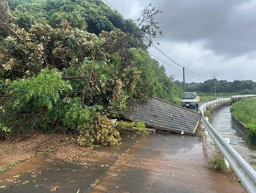 トラストバンク、ふるさとチョイス災害支援で、豪雨被害を受けた長崎県壱岐市に対するふるさと納税の寄付受付開始