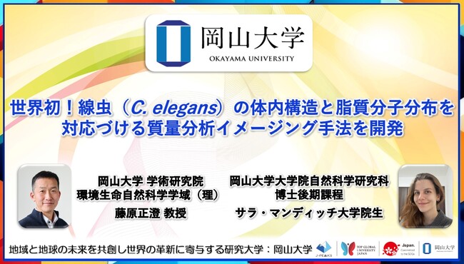 【岡山大学】世界初！線虫（C. elegans）の体内構造と脂質分子分布を対応づける質量分析イメージング手法を開発