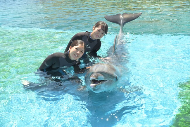 【横浜・八景島シーパラダイス】『夏休み応援トピックス』まだ間に合う！夏休みの“自由研究”をシーパラで！