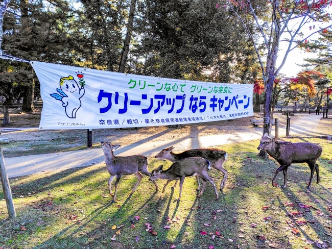 2025クリーンアップならキャンペーン