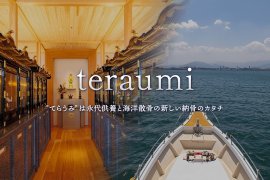 teraumi teraumi