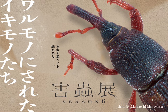 身近に潜む害虫の存在を考え、生き物の“棲み分け”を考える害蟲展season6、東京・大阪で開催！