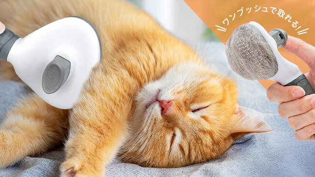 【新発売】ワンプッシュ機能で手間なくお手入れ！犬猫用「ペットブラシ」が予約販売開始!幅広ヘッド＆軽量設計で毎日のブラッシングの負担を軽減。期間限定で楽天