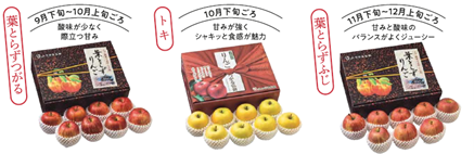 【コープデリ】青森県「JAつがる弘前」のりんご生産を応援「りんご生産者サポート」サポーター募集